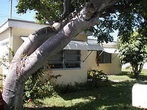 1st image of 11431 Ocean Dr