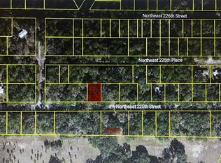 11545 NE 225th St Lot 4, Fort Mc Coy, FL 32134