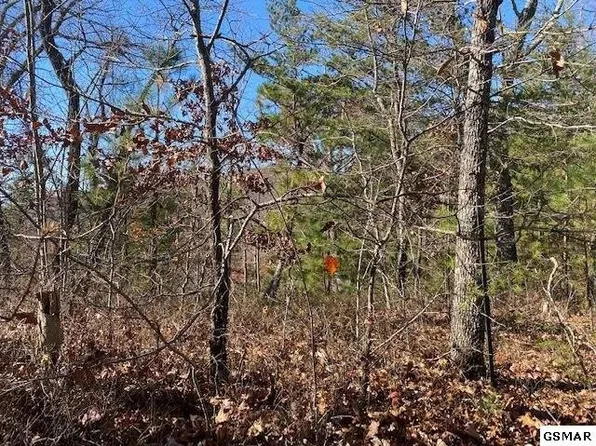 71 Poplar Pl Lot 71, Sevierville, TN 37876
