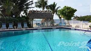 Oceanview Pool