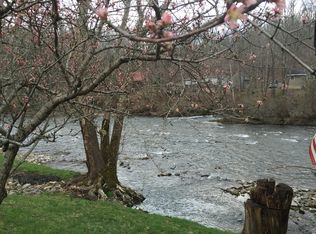 126 Hallies Rd, Covington, VA 24426