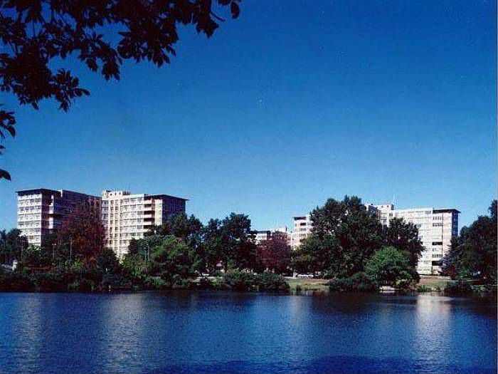 Lake Views