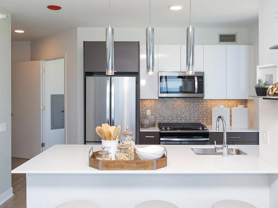 1347 S Michigan Ave #1301