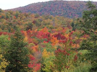 Fodder Rd, Stoney Creek, NY 12878