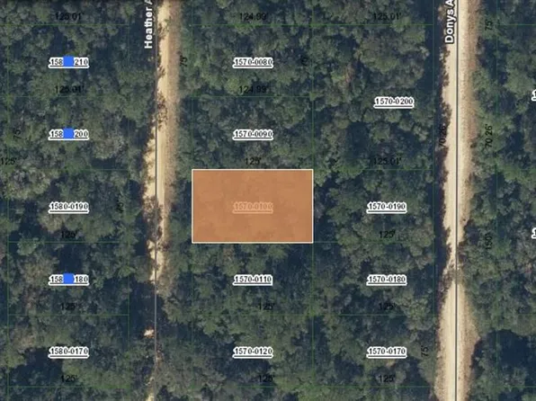 0 Heather Ave #10, Interlachen, FL 32148