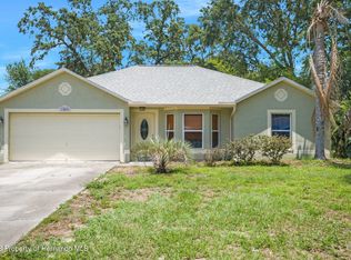 12045 Balfour St, Spring Hill, FL 34608