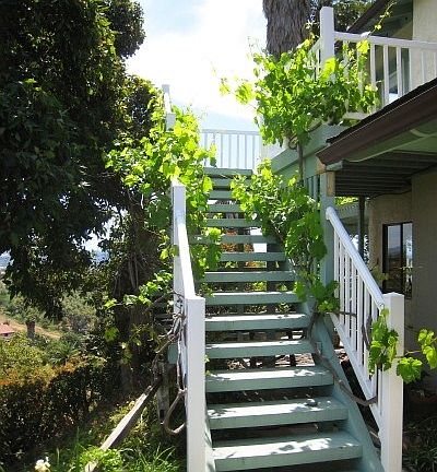 @nd unit 1br 1 bth Awesome view