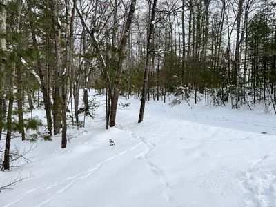 LOT 52 Walter Dr, Woodruff, WI, 54568