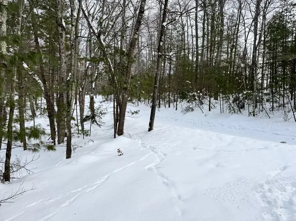 LOT 52 Walter Dr, Woodruff, WI 54568