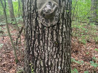 0 Laurel Branch Rd, East Bernstadt, KY 40729