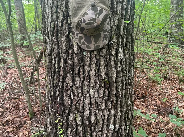 0 Laurel Branch Rd, East Bernstadt, KY 40729