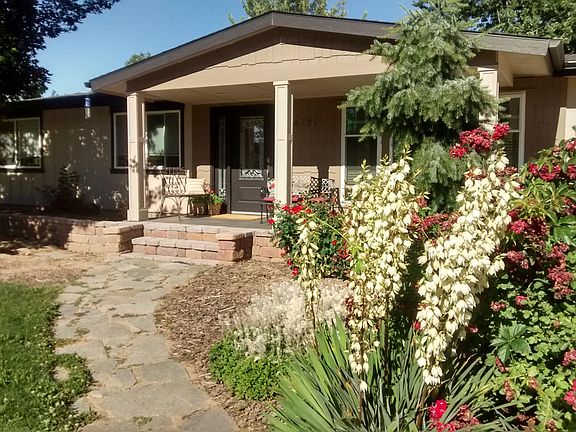 Summer front view