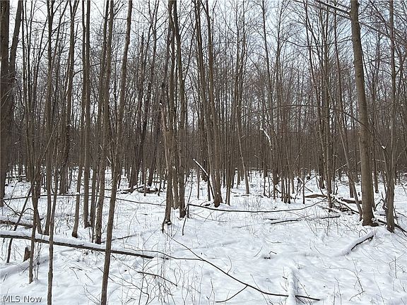 5th image of Munson Hill Rd