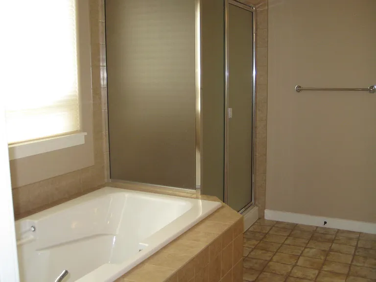 Master Bath soaking tub and shower