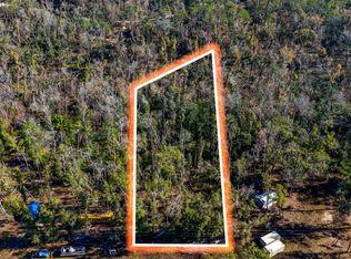 46 NE Blue Springs Church Rd, Lee, FL 32059