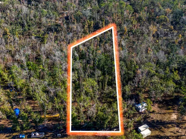 46 NE Blue Springs Church Rd, Lee, FL 32059