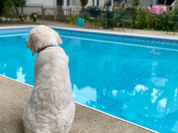 744 Knoll St SE, North Canton, OH 44709