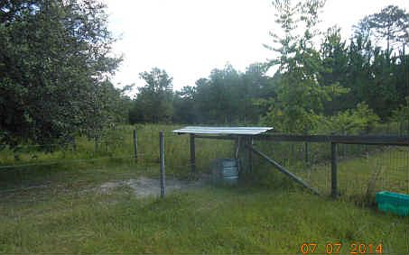5th image of 14664 99th Ln
