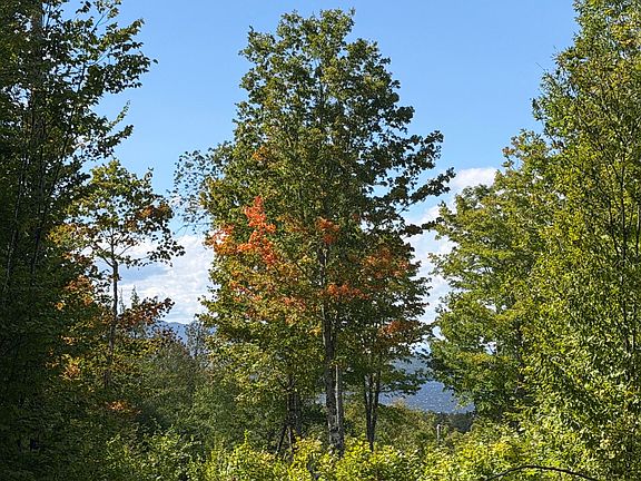 2nd image of 37 Bay View Drive