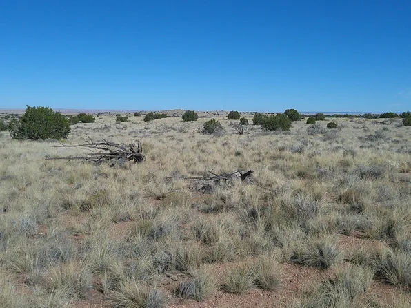 8652 Johnson S Hill Trl, Snowflake, AZ 85937