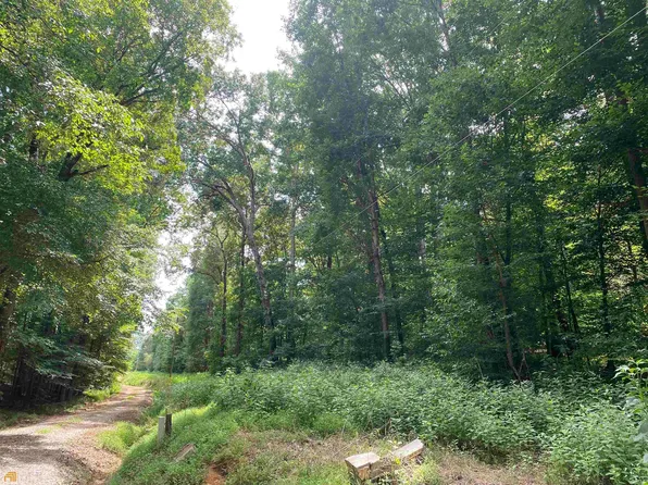 225 Dickson Dr, Danielsville, GA 30633