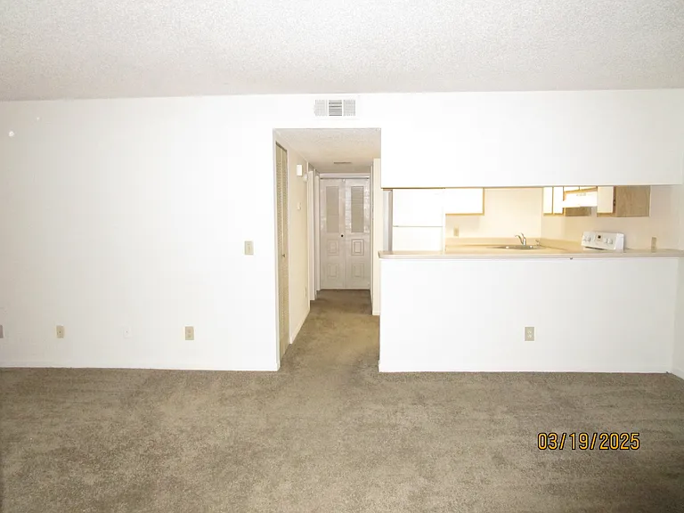 LOOKING IN FROM FT DOOR