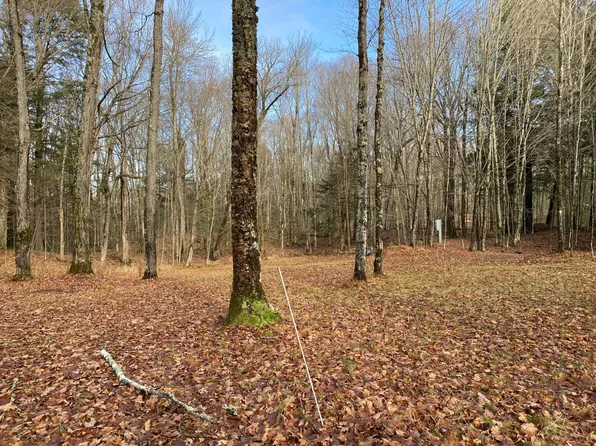 LOT 9 Yellow Birch Rd, Presque Isle, WI 54557