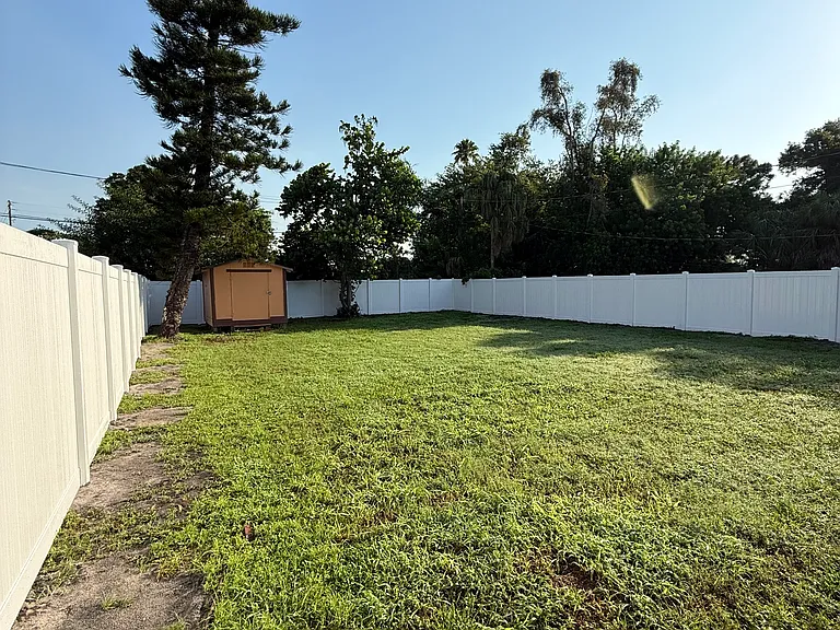Back Yard (with view of shed)