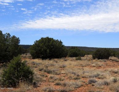 4098 E Pinto Rd, Snowflake, AZ, 85937