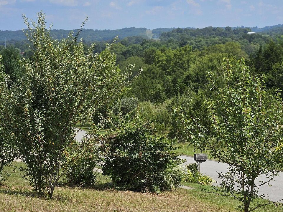 1st image of 6 Links View Dr