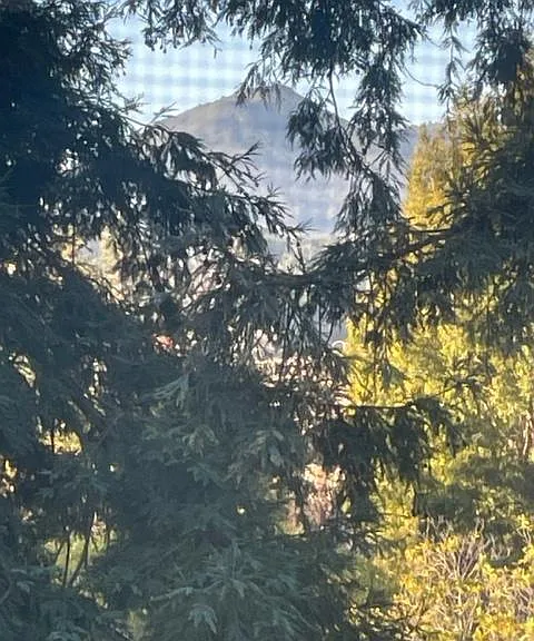 Mt Tam view