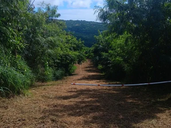 60 B&C Salt River NB, St. Croix, VI 00820