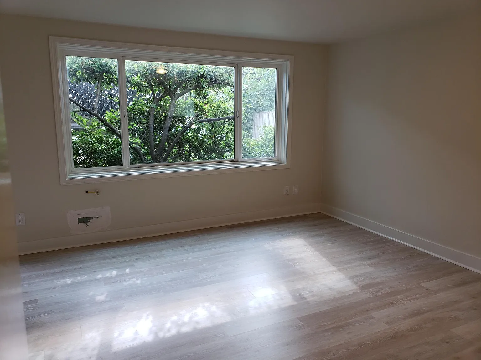 1 bed, 475 sqft, $1,825 — Photo 1