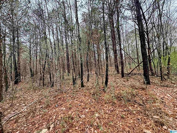 2nd image of 8260 Kermit Johnson Rd #1-2-3B