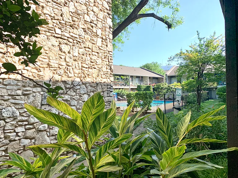 View from back patio (storage shed is to the right)