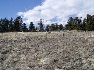 1061 Pitchfork Rd, Hartsel, CO 80449