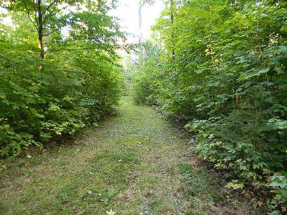 5th image of 13306 County Road 415