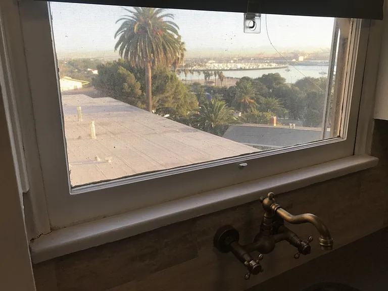 Bluff Pl — Photo 19