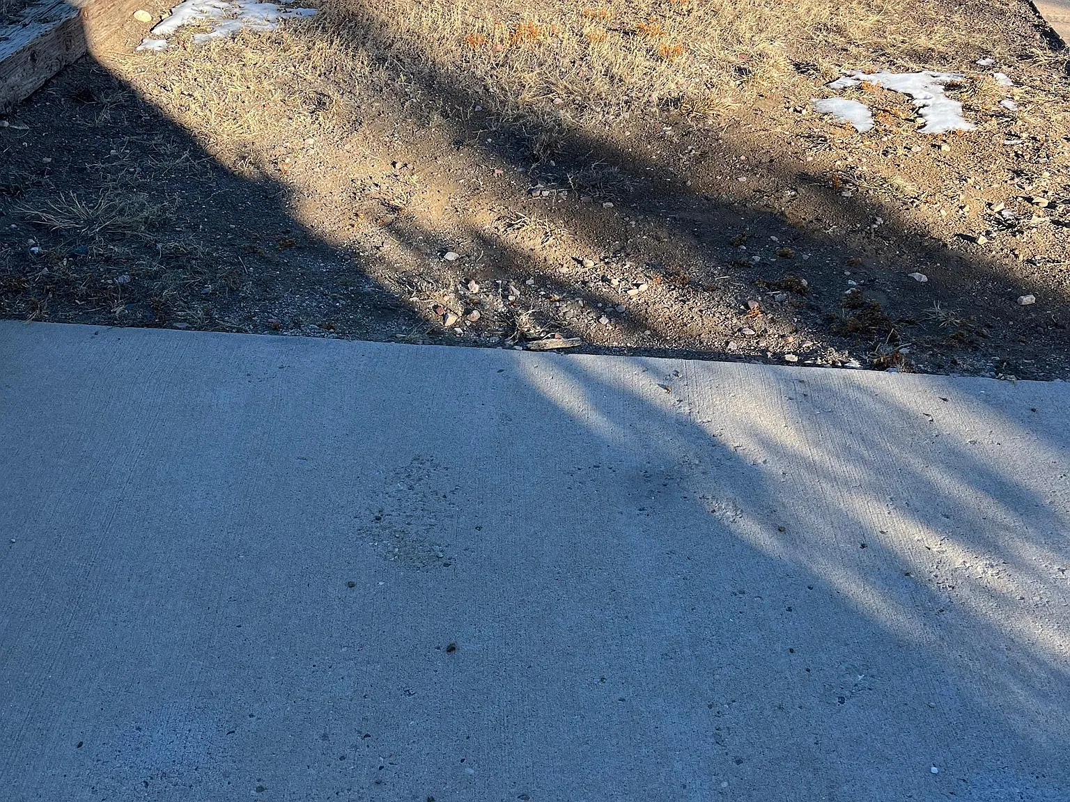 7604 Ridge Rd — Photo 4
