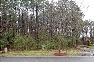 2nd image of 110 Sea Dog Cir