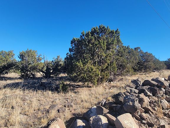 4th image of 85 County Road 8249 -- #6