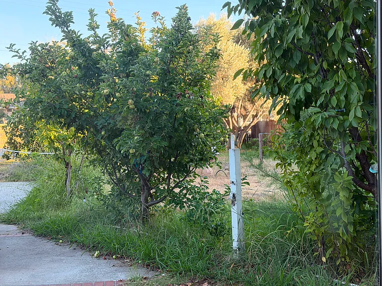 Glenn Ave — Photo 9