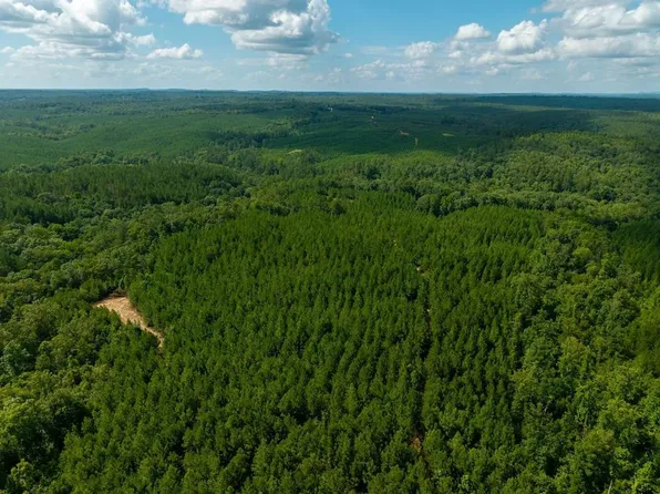0 County Road 480, Verbena, AL 36091