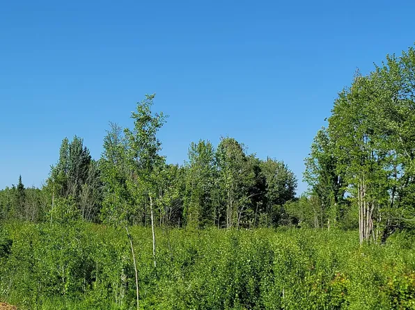 13293 S Bound Rd, Dafter, MI 49724