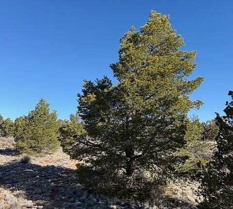 3rd image of 5752 N Hidden Ranch Rd