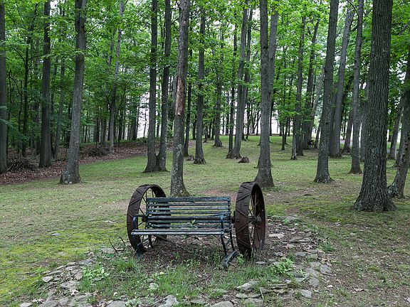 Beautiful wooded setting