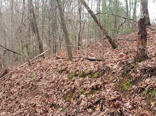 83 Virginia Dr, Blue Ridge, GA 30513