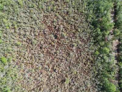 Mario Avenue Lot #24, Cocoa, FL, 32926