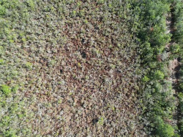 Mario Avenue Lot #22, Cocoa, FL 32926