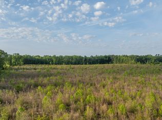 0 Folds Rd, Pineview, GA 31071